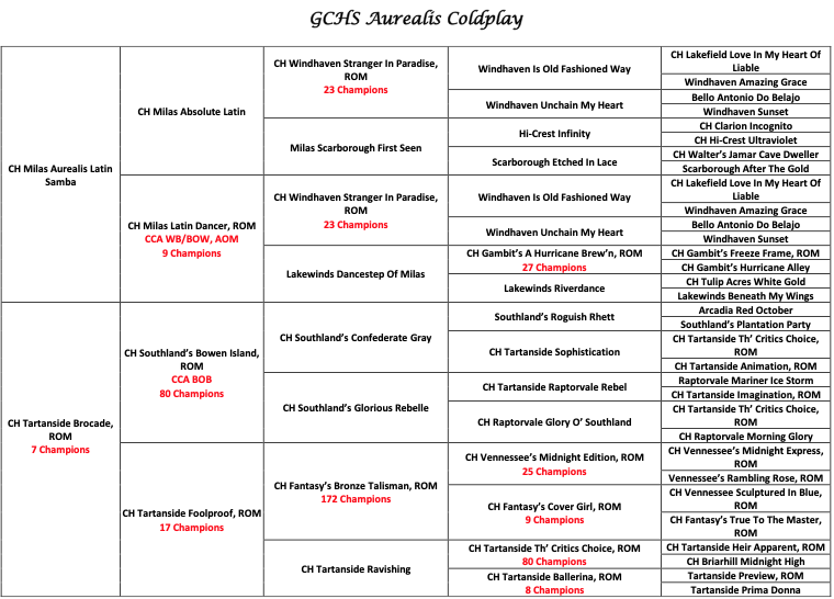 collie breeding pedigree