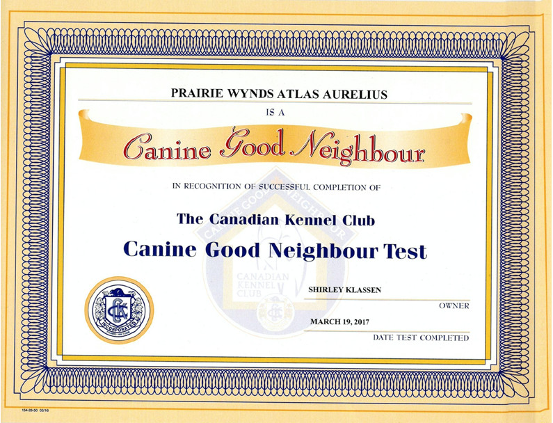 collie certificate