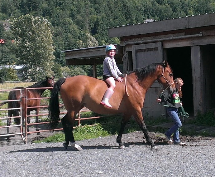 horse stables abbotsford pic