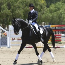 abbotsford horse stable image